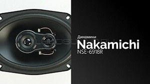 Nakamichi NSE-6918R