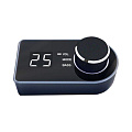 Goldhorn Dsp Remote Controller
