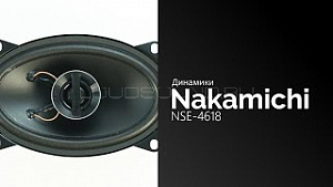 Nakamichi NSE-4618