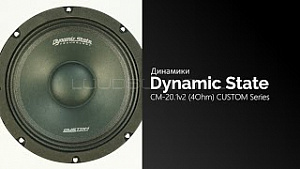Dynamic State Custom Series CM-20.1v2 4Ом